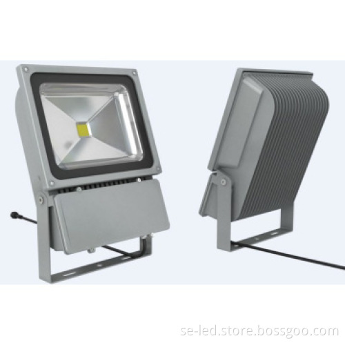 Bridgelux Chip 5 Years Warranty waterproof 100w led flood light